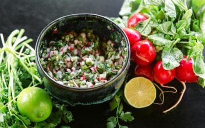 RADISH CILANTRO SALSA