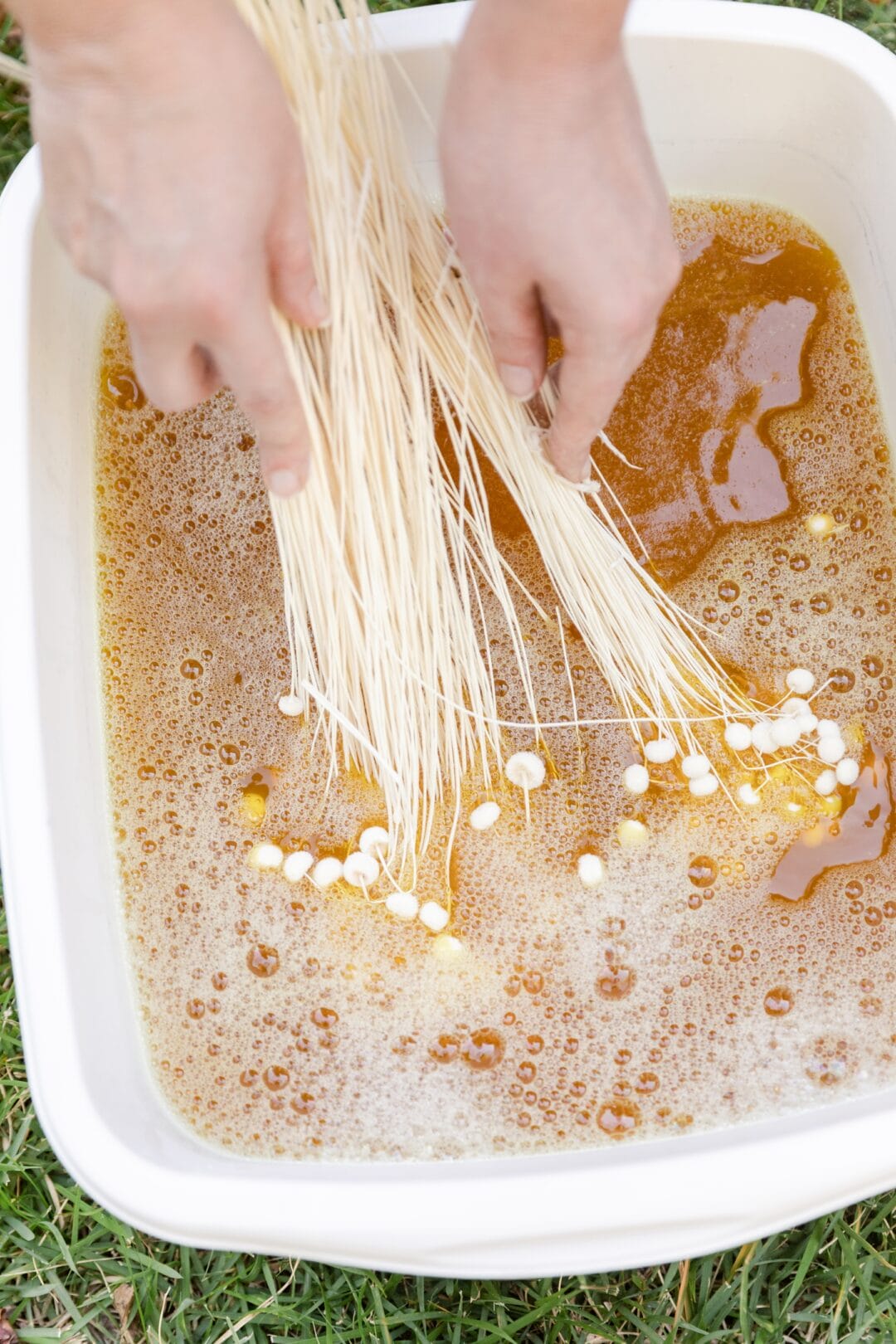 How to Dye Dried Flowers and Grasses Pretty Together