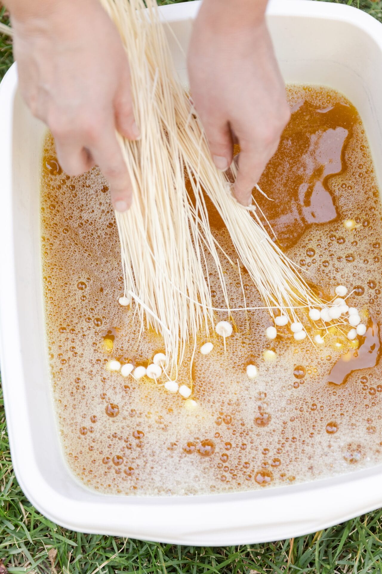 How to Dye Dried Flowers and Grasses Pretty Together