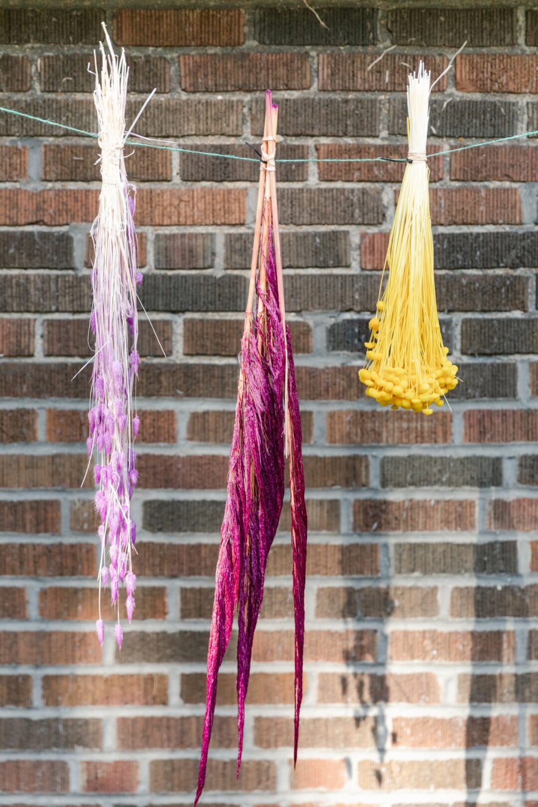 how-to-dye-dried-flowers-and-grasses-pretty-together