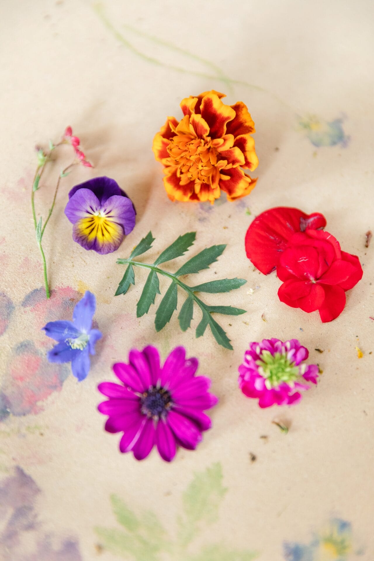 How to Make Flower Pounding Art Pretty Together