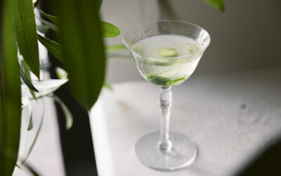 CUCUMBER MARTINI
