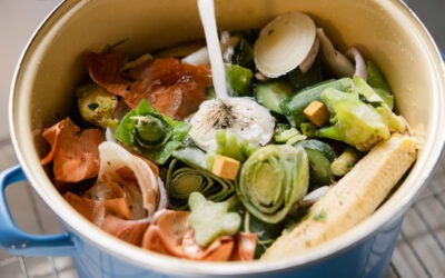 Save the Bones. Make Better Stock.