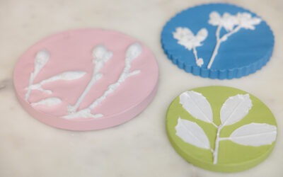 How to Make Botanical Plaster Casts (Botanical Bas-Relief Art)